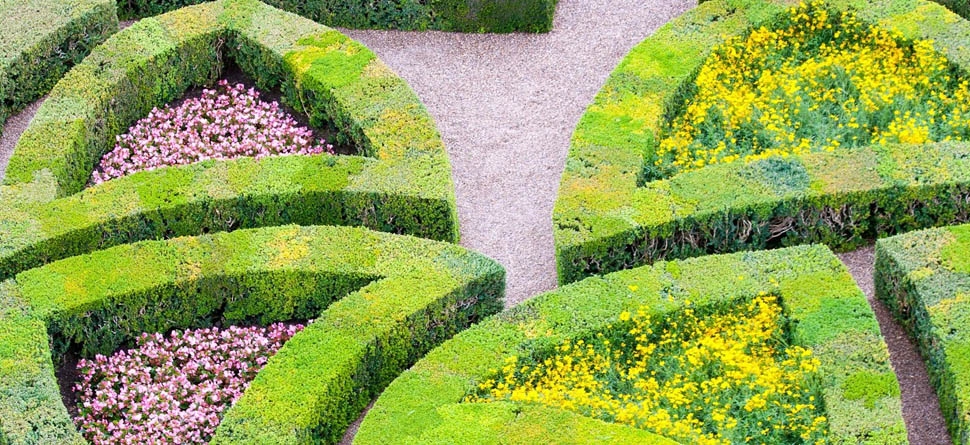 TAILLE DES HAIESDESSOUCHAGE D’ARBRE